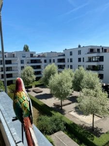 Außenansicht